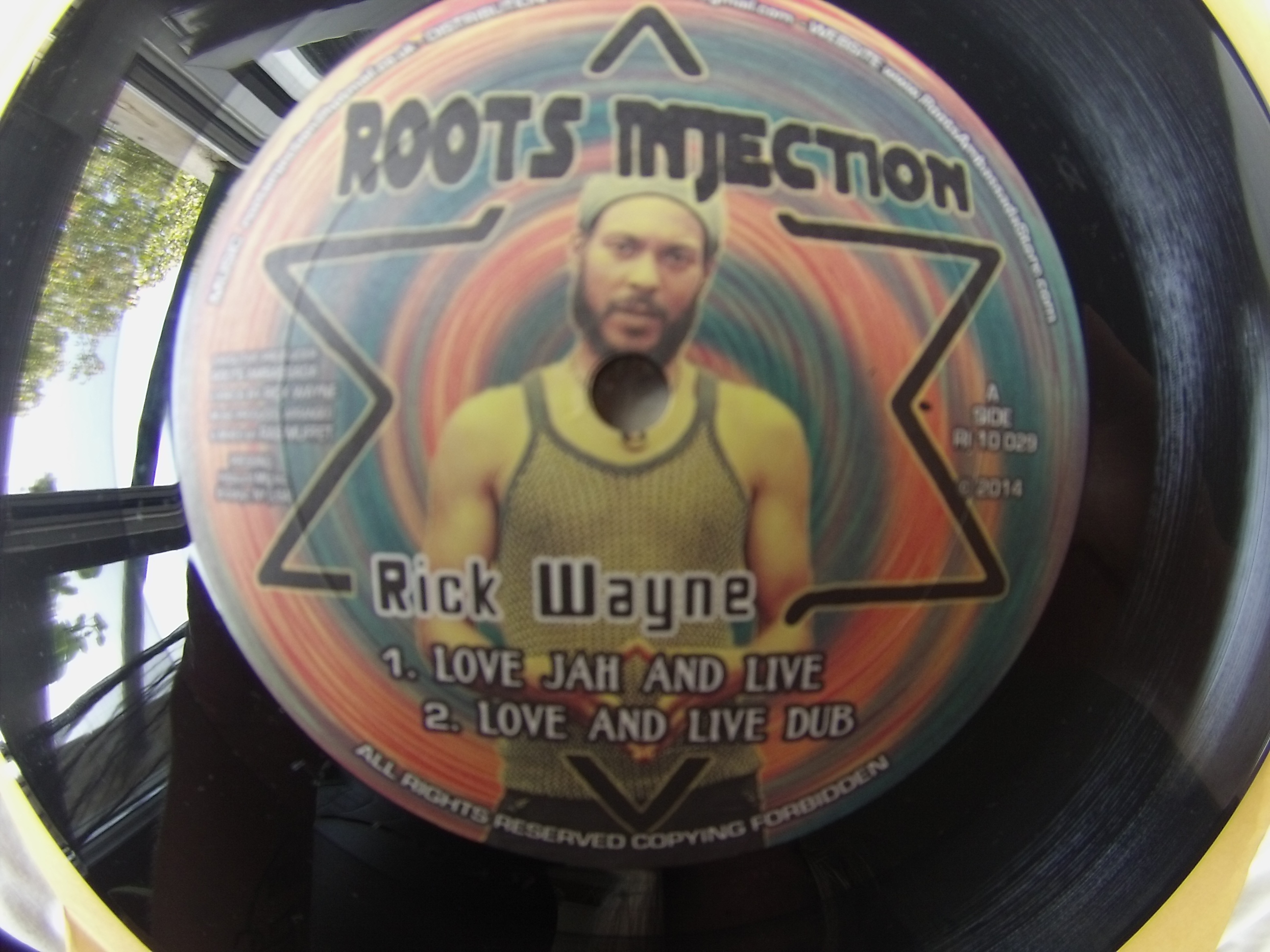 RICK WAYNE - Love jah and live (Roots injection ) 10"